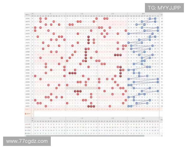 从选号到开奖号码的完整解析过程